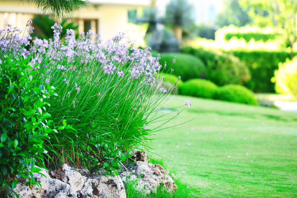 Landscaping makeovers require fill dirt and topsoil