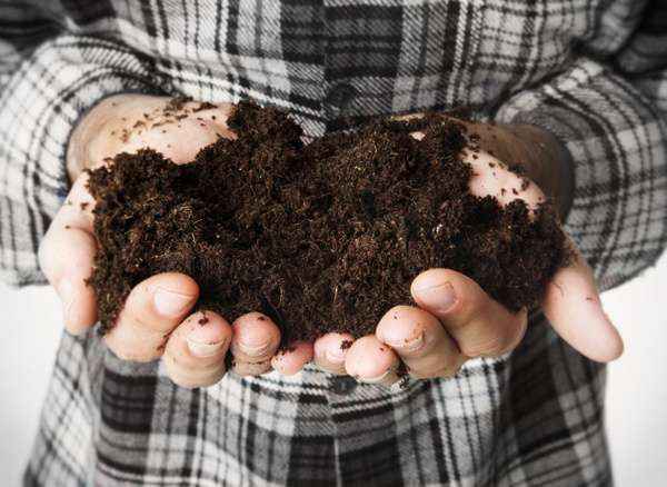 Facts about topsoil
